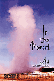 In the Moment (cc&d book) issue collection book