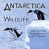 Antarctica: Earth’s Final Frontier