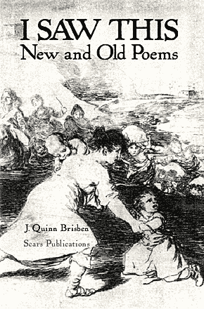 I Saw This...New and Old Poems by J. Quinn Brisben