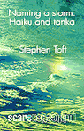 Naming a storm: Haiku and tanka, a Stephen Toft book