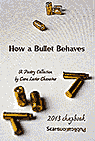 How a Bullet Behaves, a Cara Losier Chanoine book