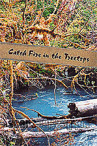 Catch Fire in the Treetops